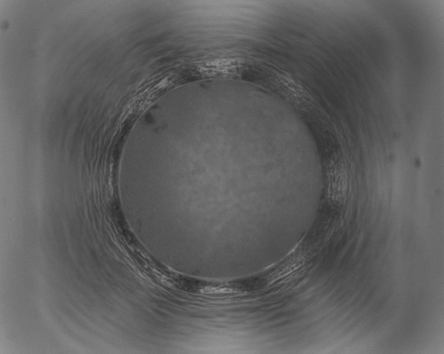 X0000055990699200509021639