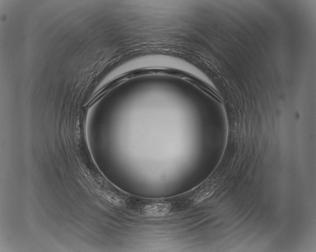 X0000055990700200509021638