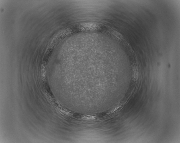 X0000055990701200509021638