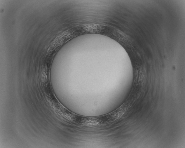 X0000055990702200509021638