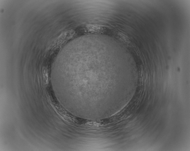 X0000055990703200509021638