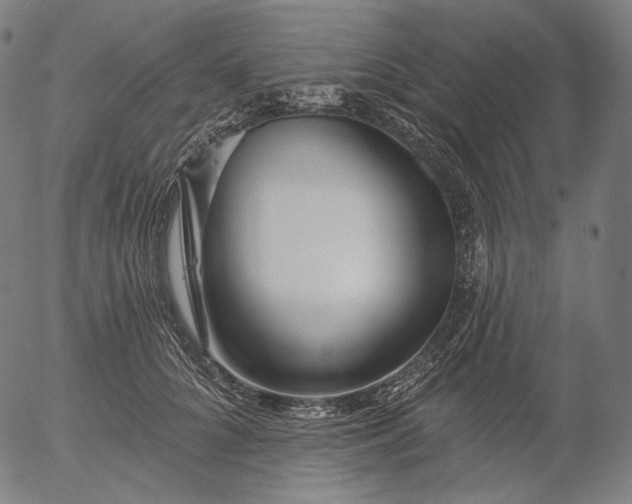 X0000055990704200509021638