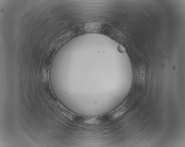 X0000055990705200509021638