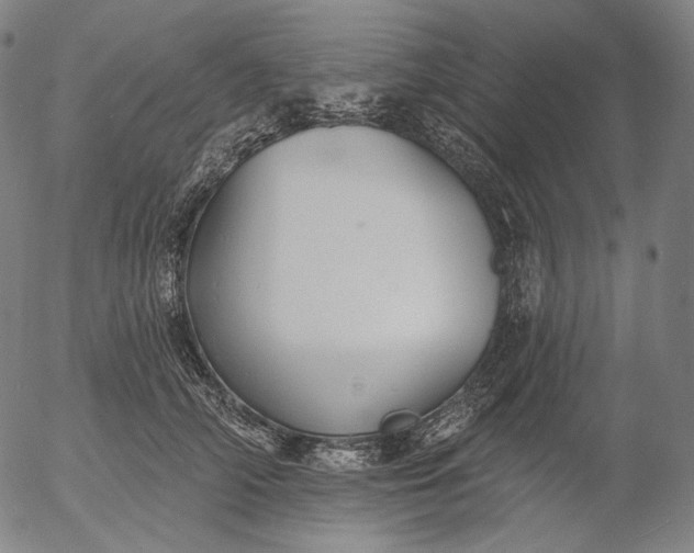 X0000055990706200509021638