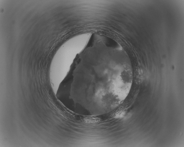 X0000055990707200509021638