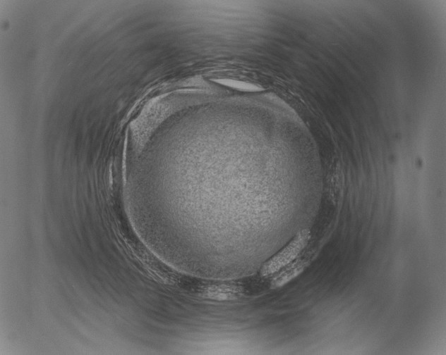 X0000055990708200509021638