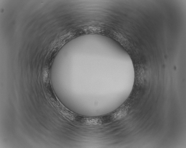 X0000055990709200509021638