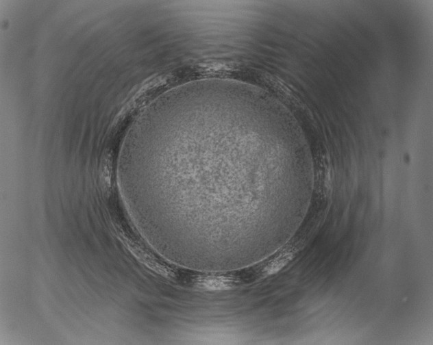 X0000055990710200509021638