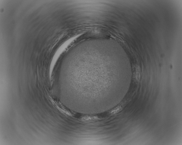 X0000055990712200509021638