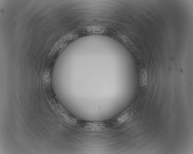 X0000055990713200509021638