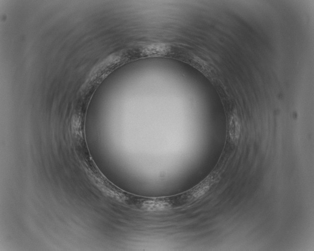 X0000055990714200509021638