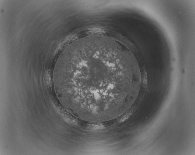 X0000055990715200509021638