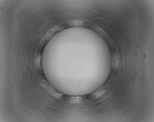 X0000055990717200509021638