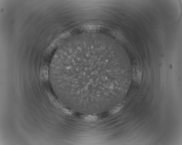 X0000055990718200509021638