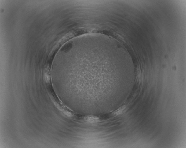 X0000055990719200509021638