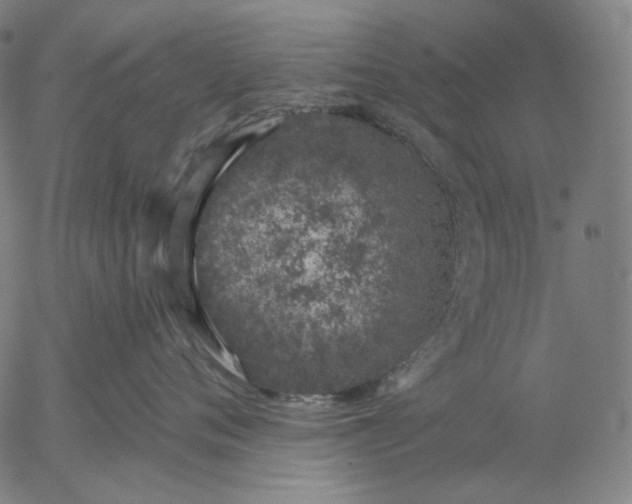 X0000055990720200509021638