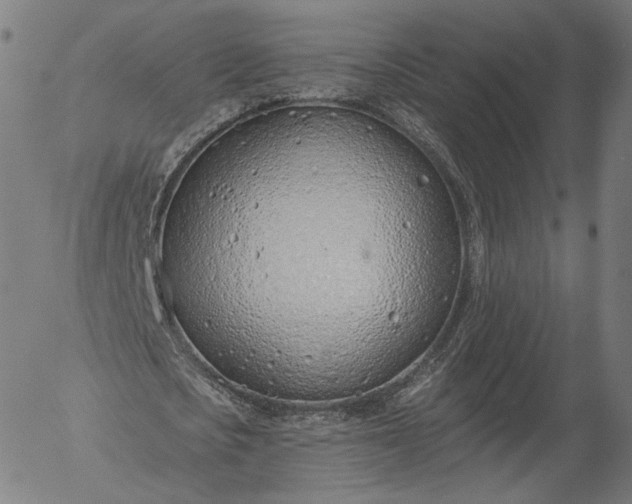 X0000055990721200509021637