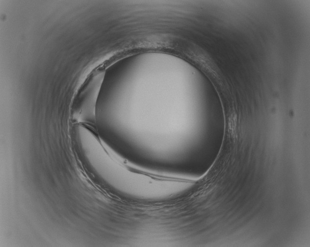 X0000055990724200509021637