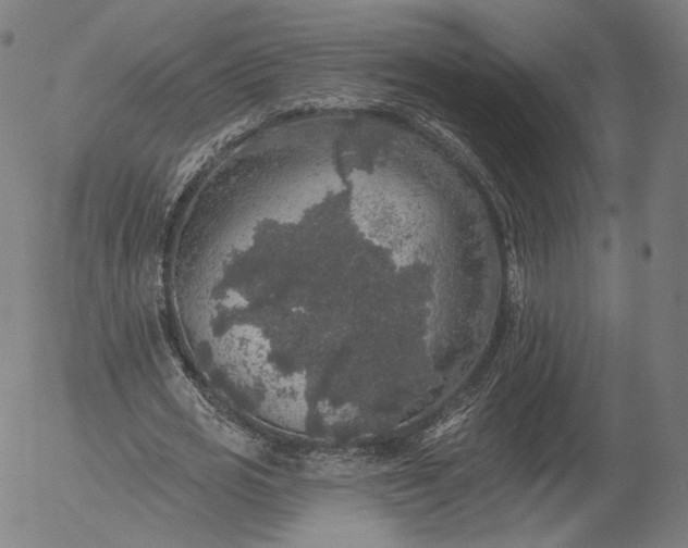 X0000055990725200509021637