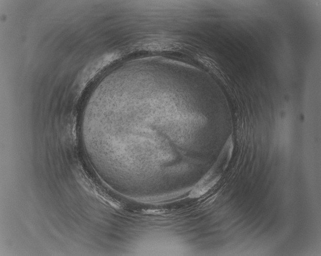 X0000055990727200509021637