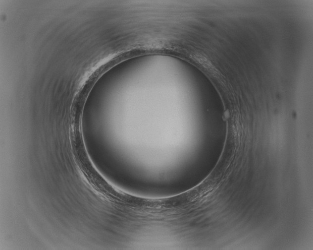 X0000055990728200509021637