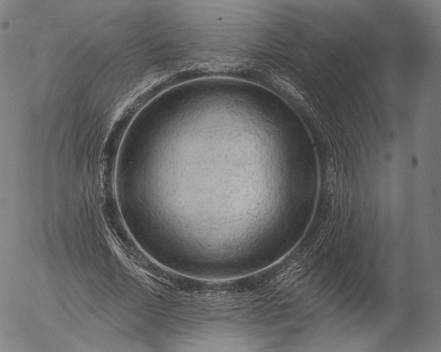 X0000055990730200509021638