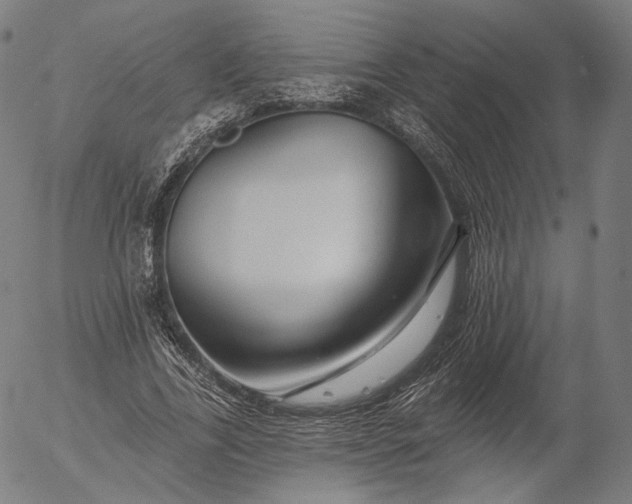 X0000055990731200509021638