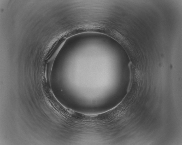 X0000055990732200509021638