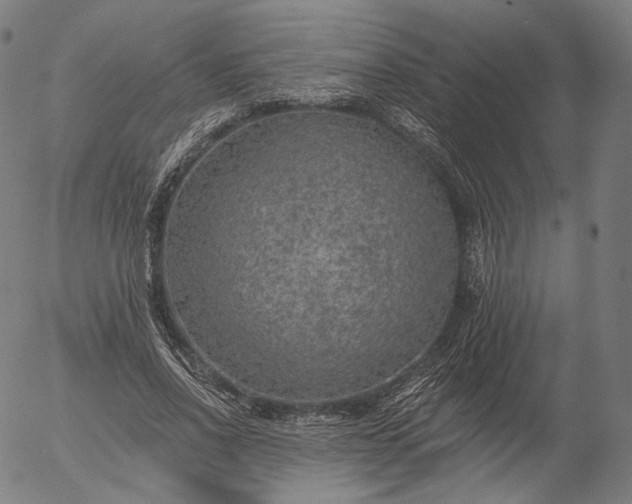 X0000055990734200509021638