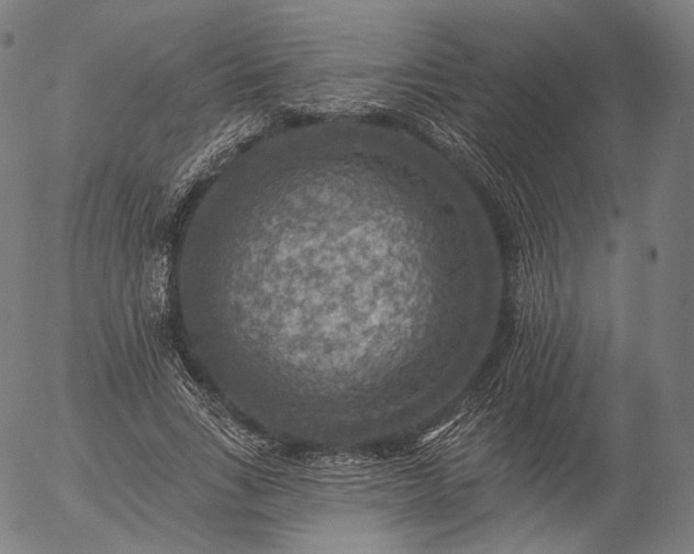 X0000055990735200509021638