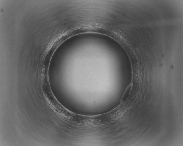 X0000055990736200509021638