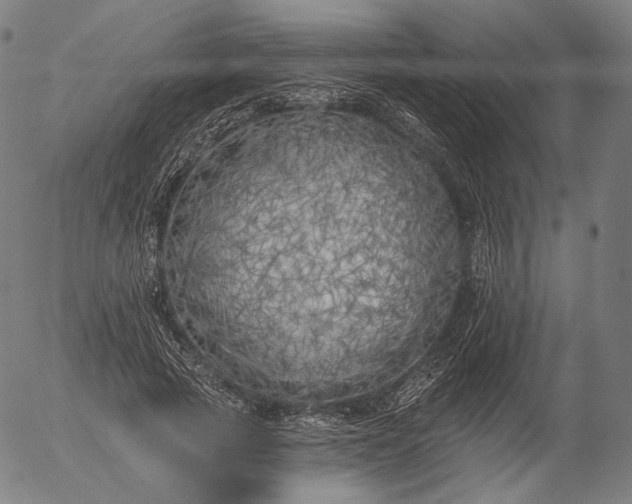 X0000055990737200509021638