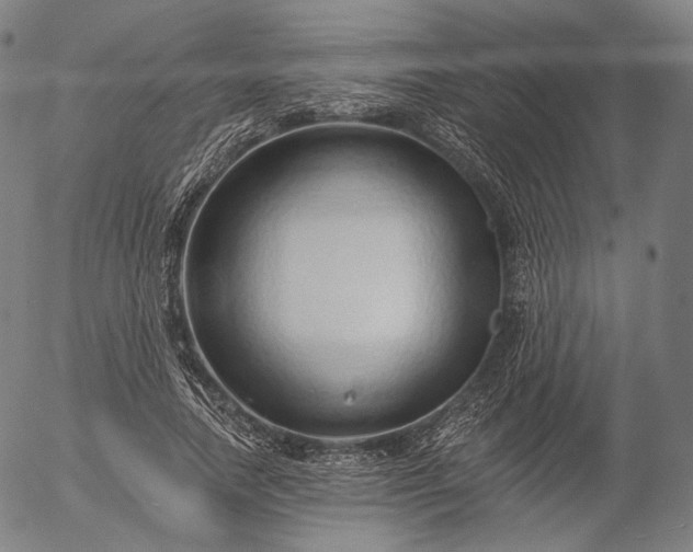 X0000055990738200509021638