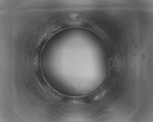 X0000055990739200509021638