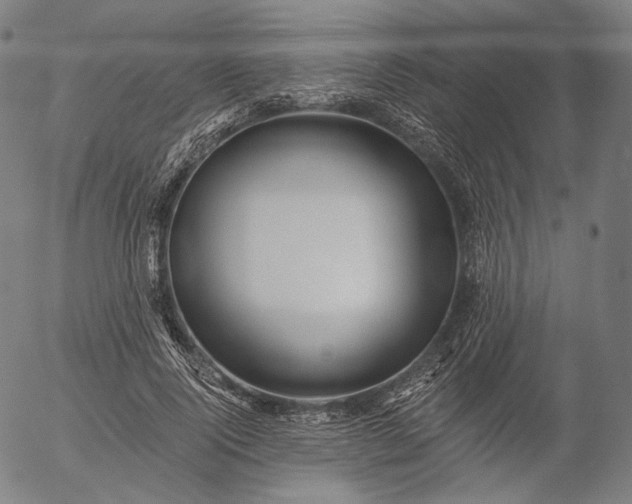 X0000055990740200509021638