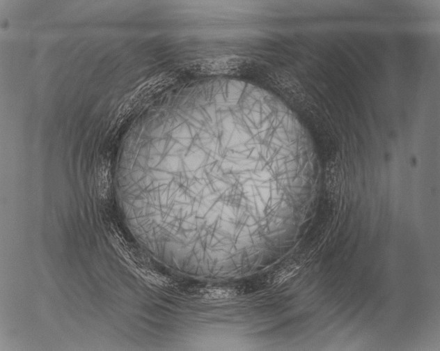 X0000055990741200509021638