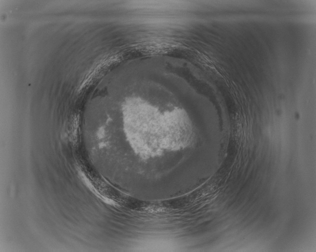 X0000055990742200509021638