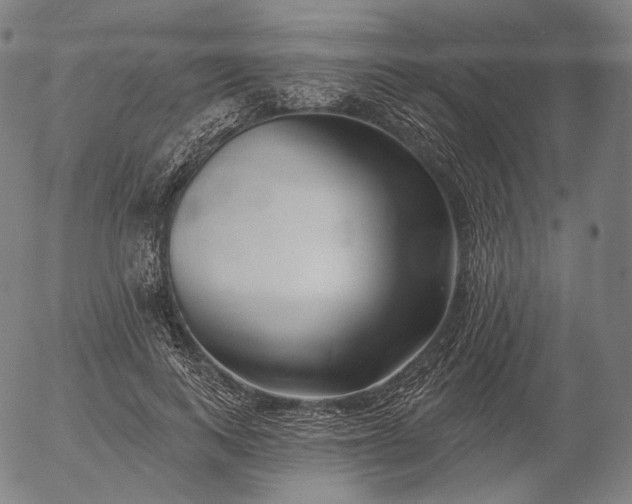 X0000055990743200509021638