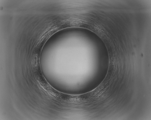 X0000055990744200509021638