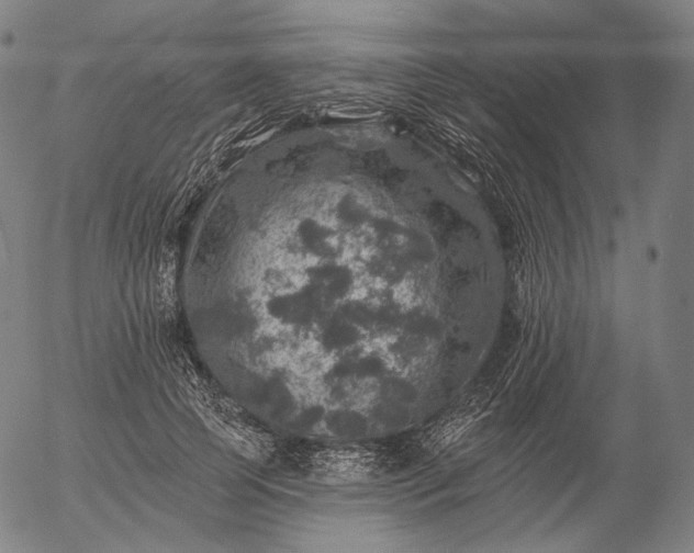 X0000055990745200509021638