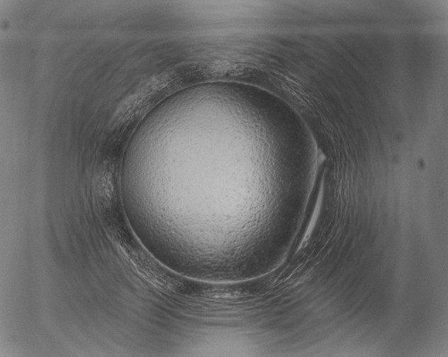 X0000055990746200509021638