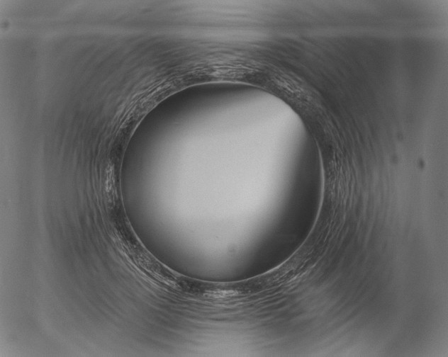 X0000055990748200509021638