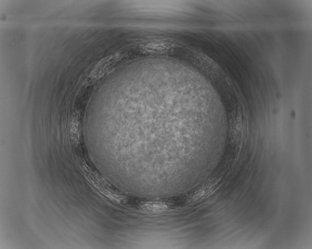 X0000055990749200509021638