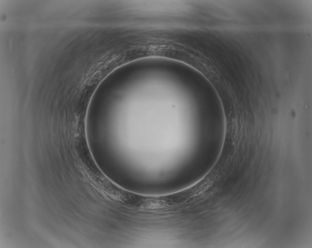 X0000055990750200509021638