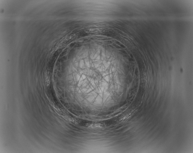 X0000055990751200509021638