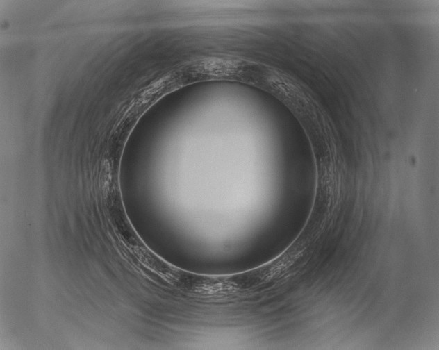 X0000055990752200509021638