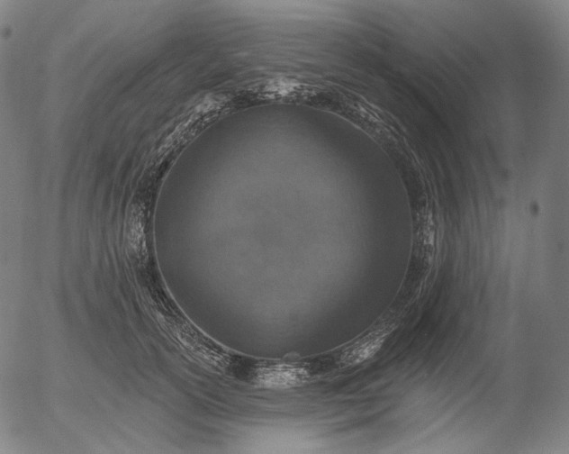 X0000055990754200509021638