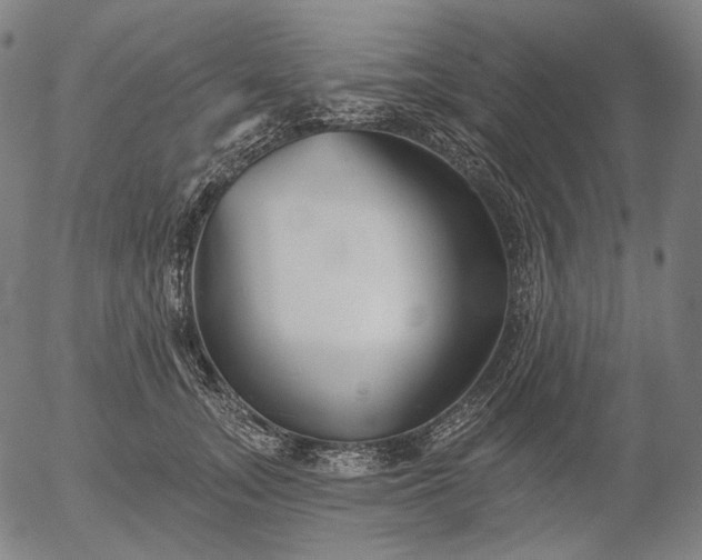 X0000055990755200509021638