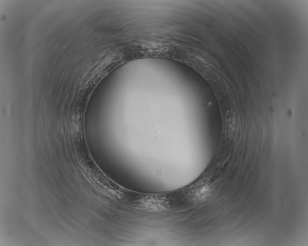 X0000055990756200509021638