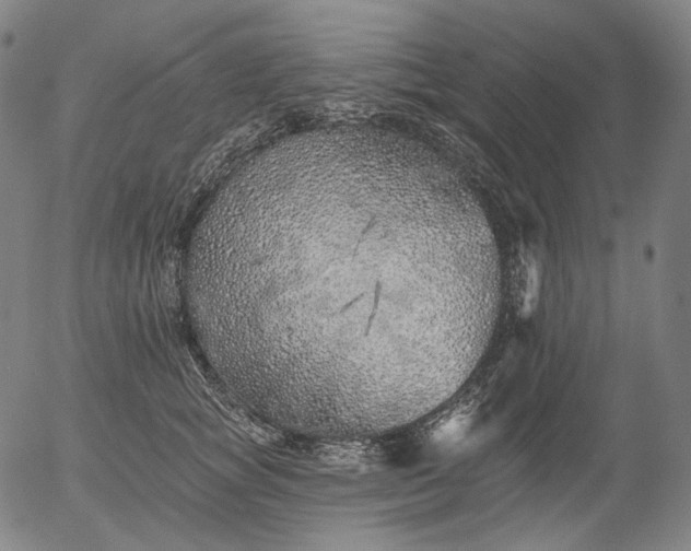 X0000055990757200509021638